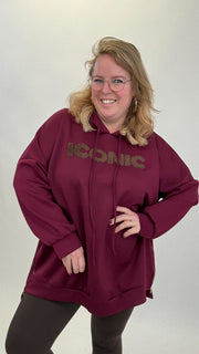 ICONIC HOODIE MET RITS - 1806