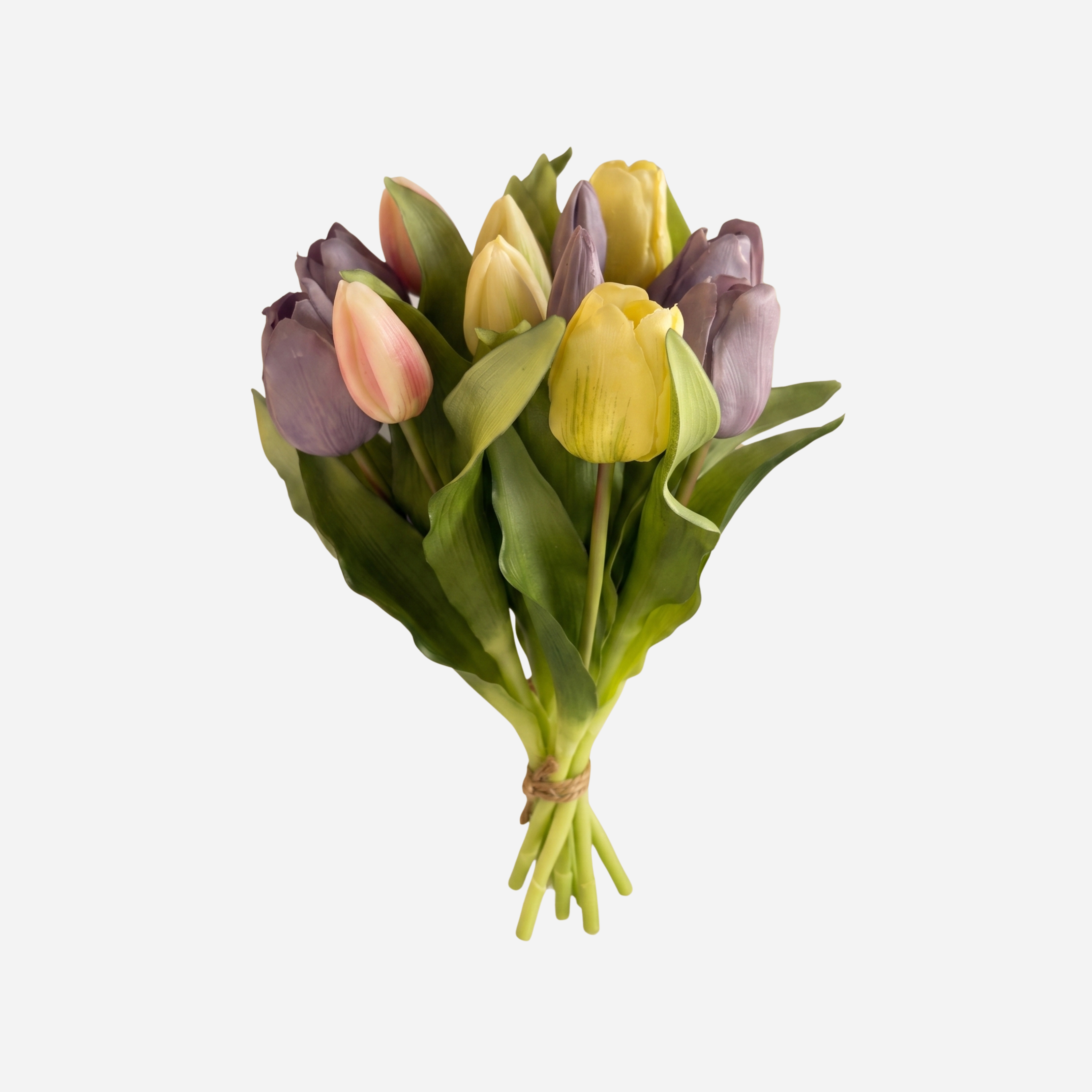 KUNSTTULPEN