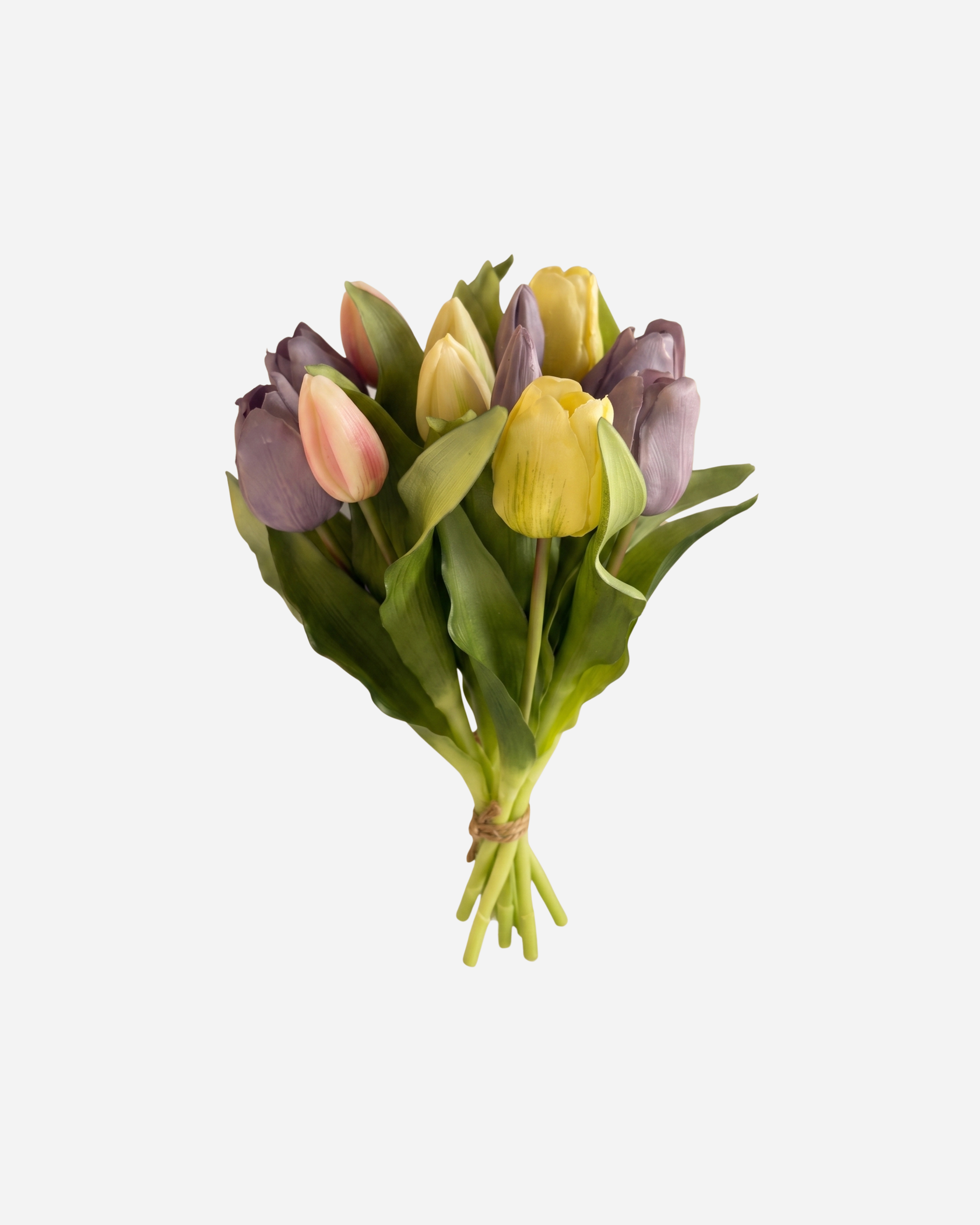 KUNSTTULPEN