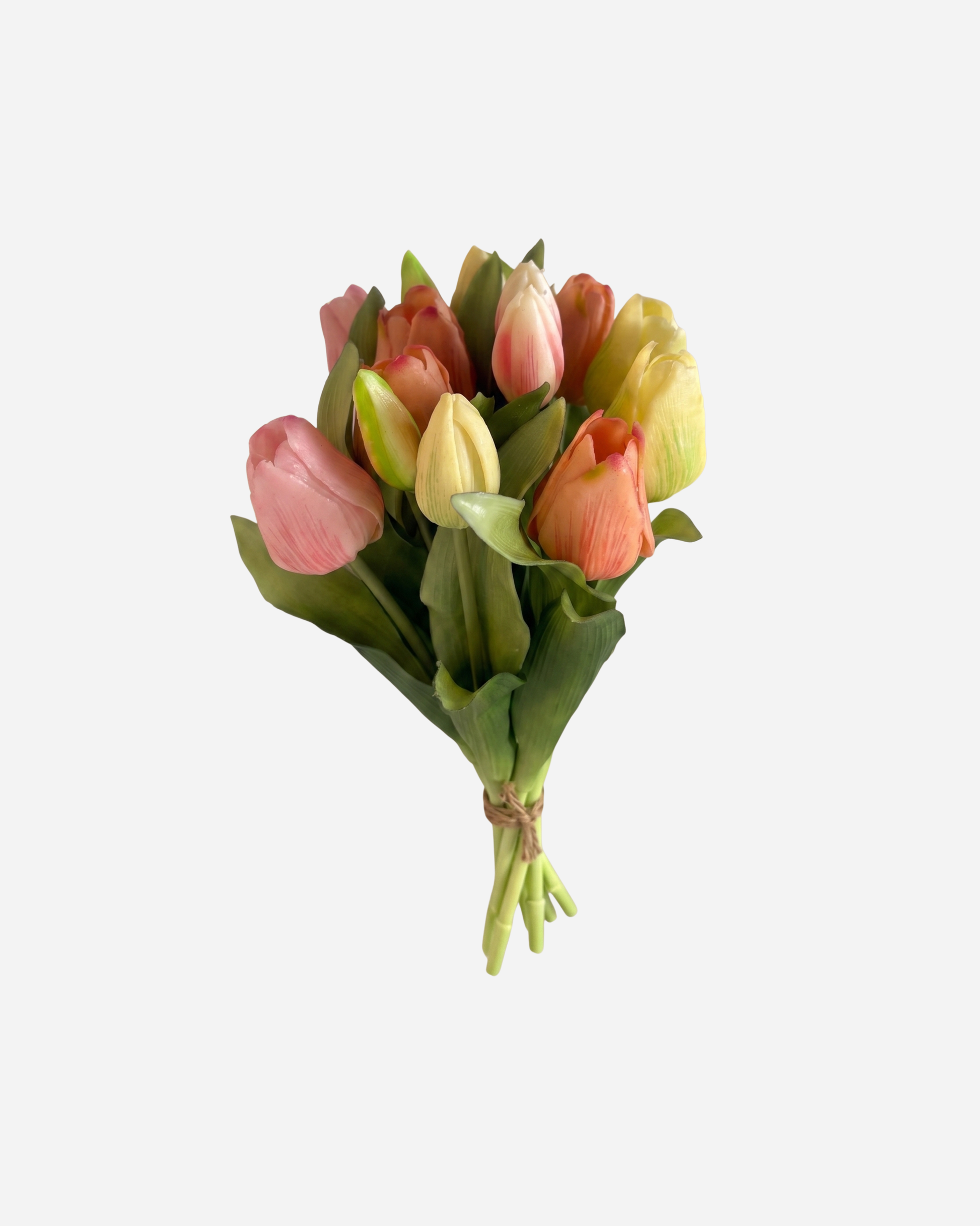 KUNSTTULPEN