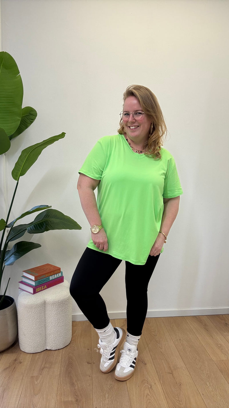 BASIC T-SHIRT V HALS - 1366