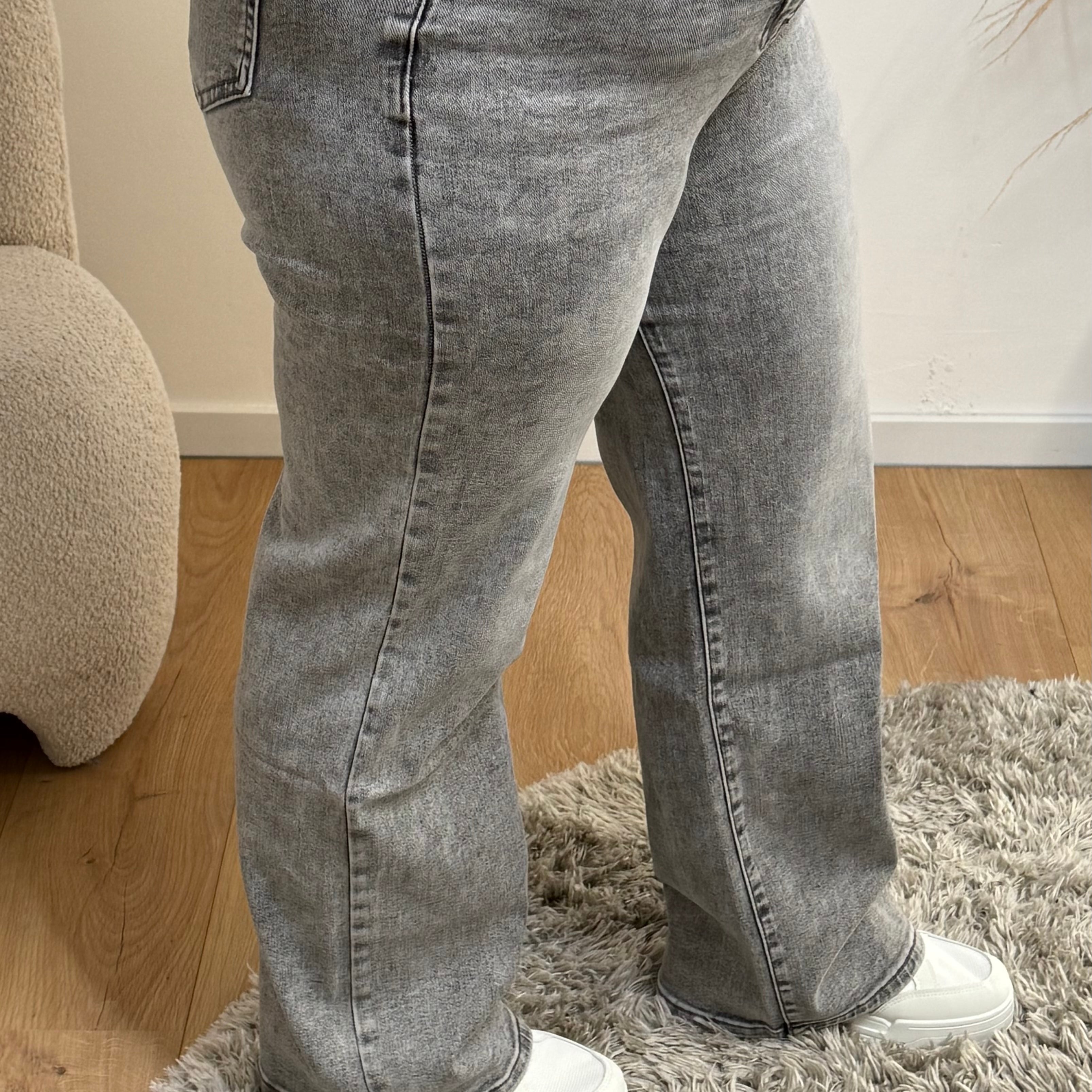 GOODIES JEANS WIDE LEG DJ2599/2456 - GREY